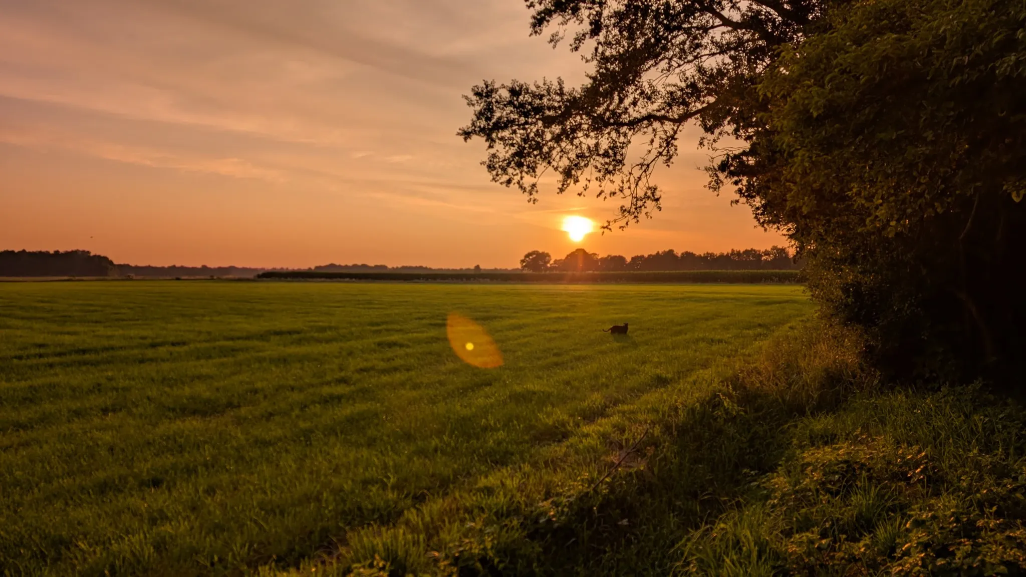 HG leeft zicht weer eens uit