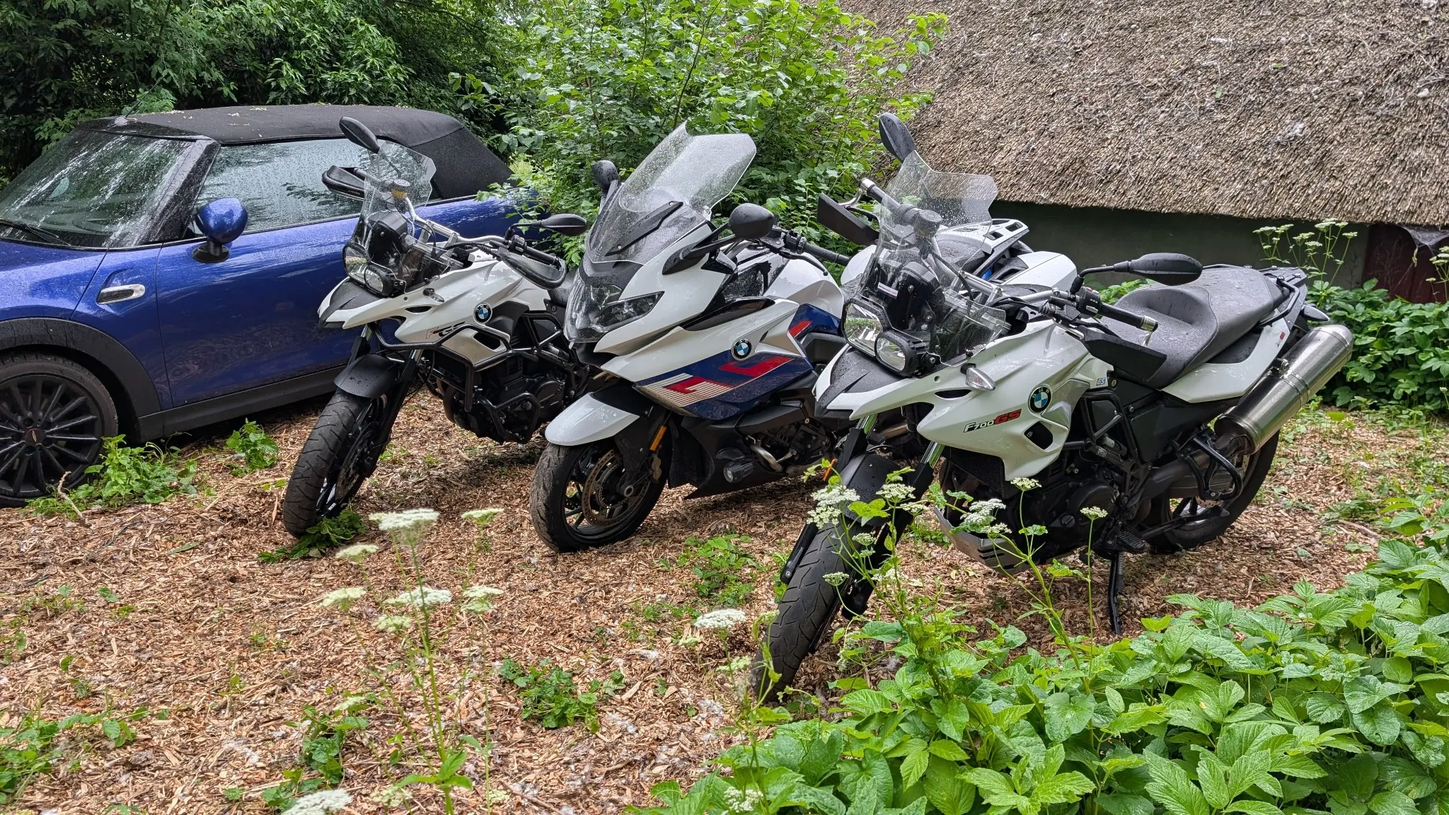 HG leeft zicht weer eens uit